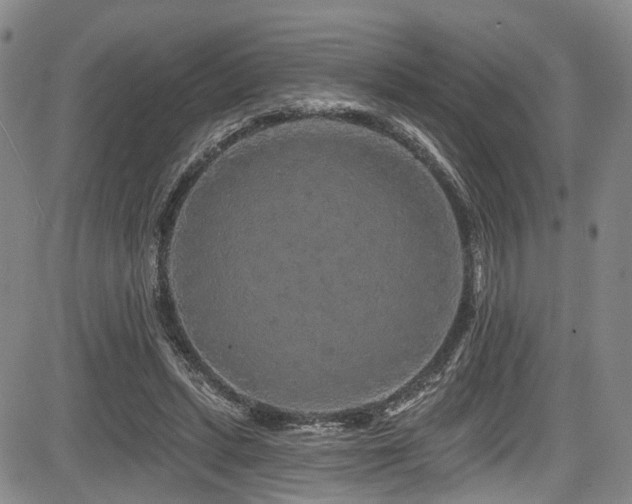 X0000084050447200702161511