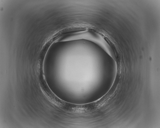 X0000084050448200702161511