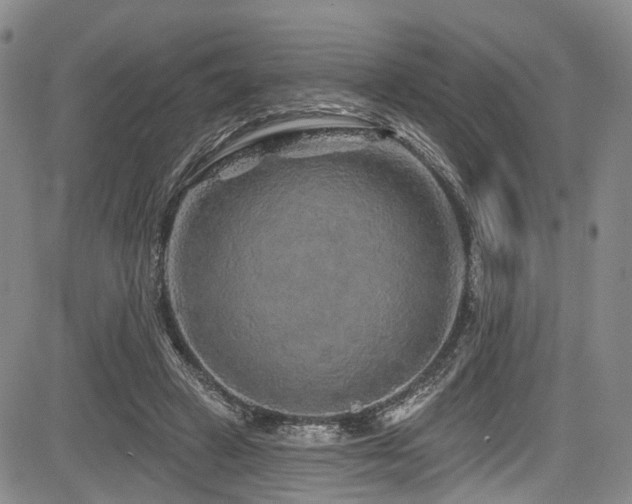 X0000084050449200702161511