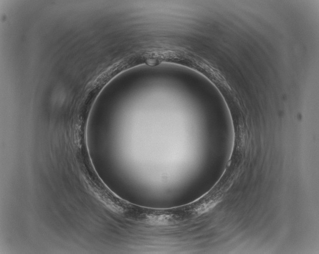 X0000084050450200702161511