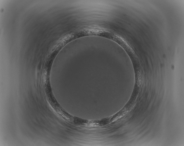 X0000084050451200702161511