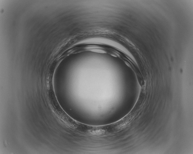 X0000084050452200702161511