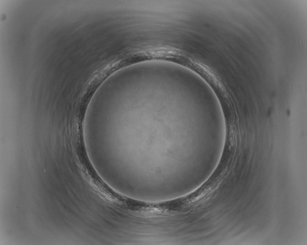 X0000084050453200702161511