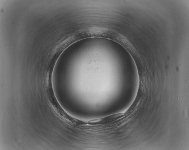 X0000084050454200702161511