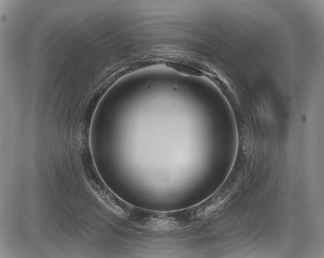 X0000084050455200702161511