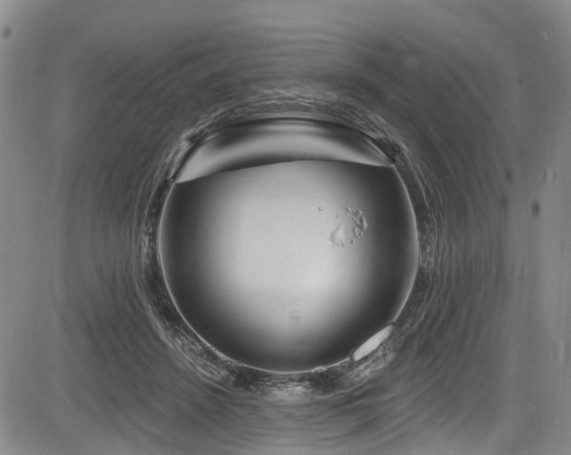 X0000084050456200702161511