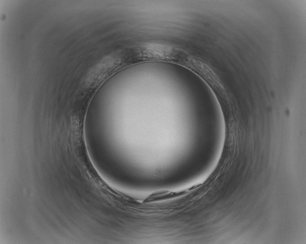 X0000084050457200702161511