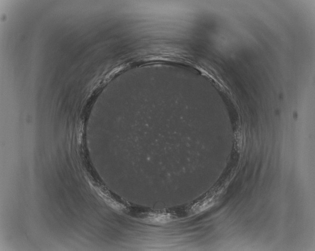 X0000084050458200702161511