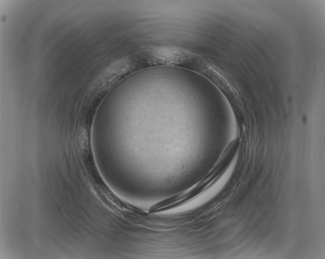 X0000084050459200702161511