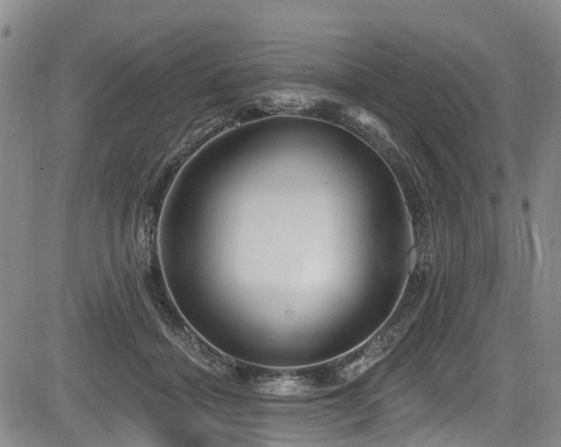 X0000084050460200702161511