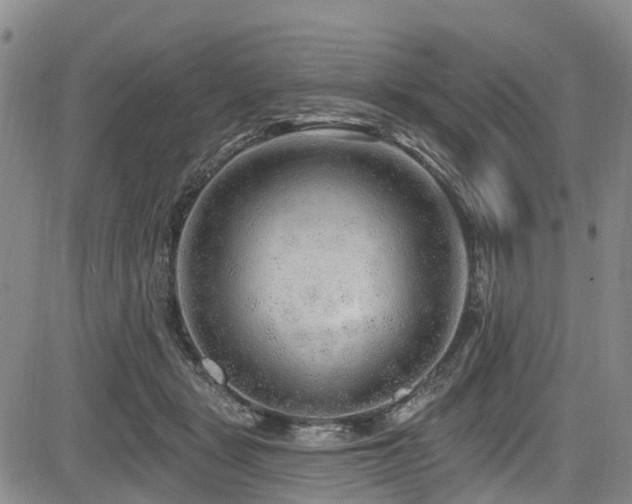 X0000084050461200702161511