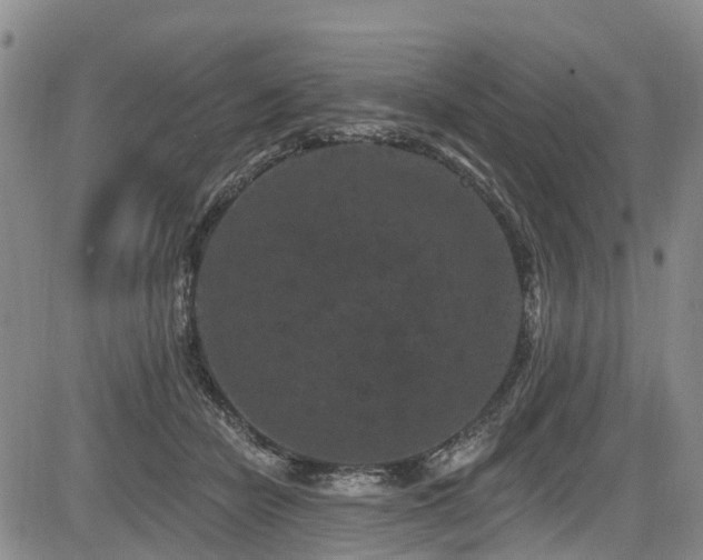 X0000084050462200702161511