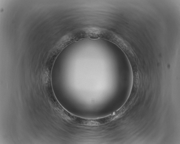 X0000084050463200702161511