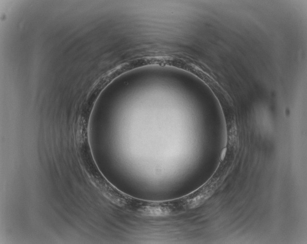 X0000084050464200702161511