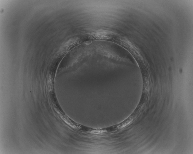 X0000084050465200702161511