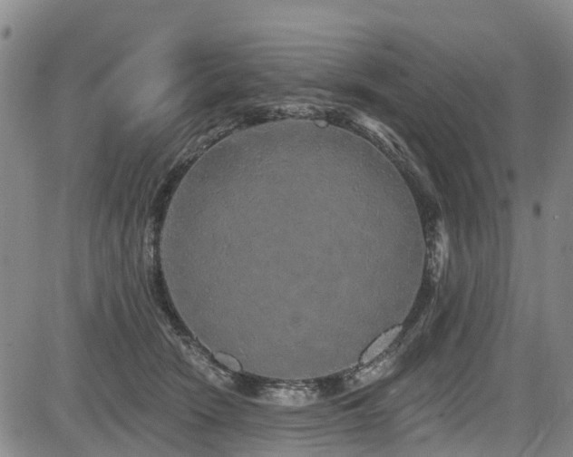 X0000084050466200702161511