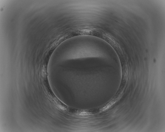 X0000084050467200702161511