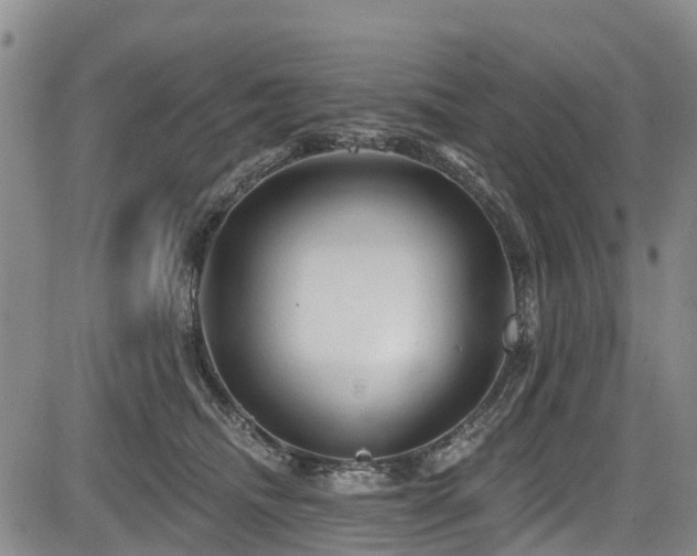 X0000084050468200702161511