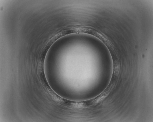 X0000084050469200702161511