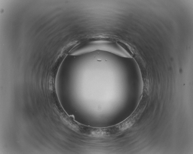 X0000084050470200702161511