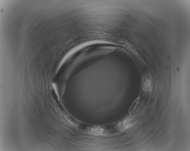 X0000084050471200702161511