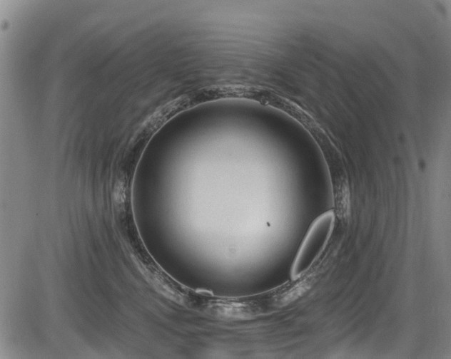 X0000084050472200702161511