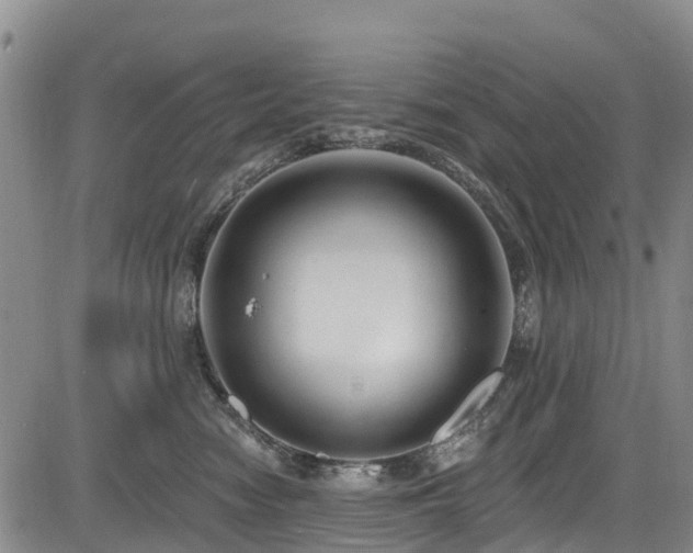 X0000084050474200702161511