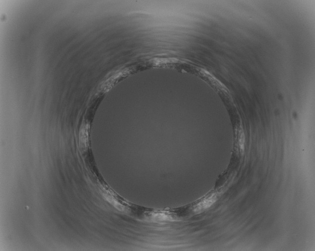 X0000084050475200702161511