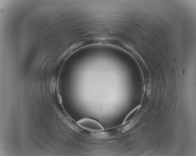 X0000084050476200702161511