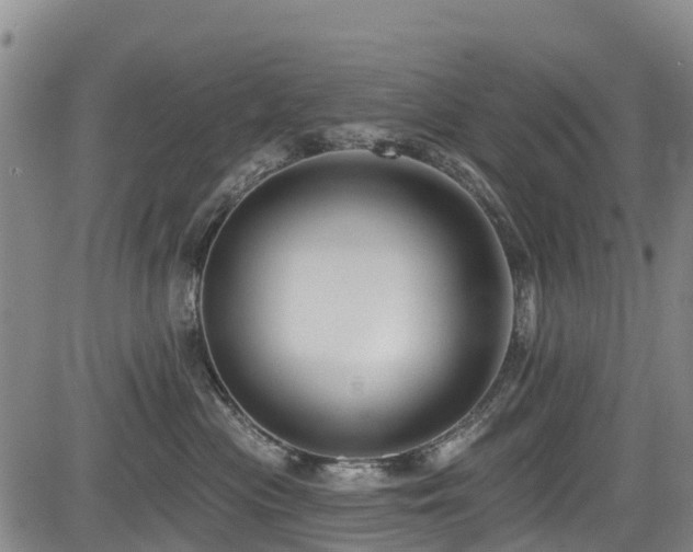 X0000084050477200702161511