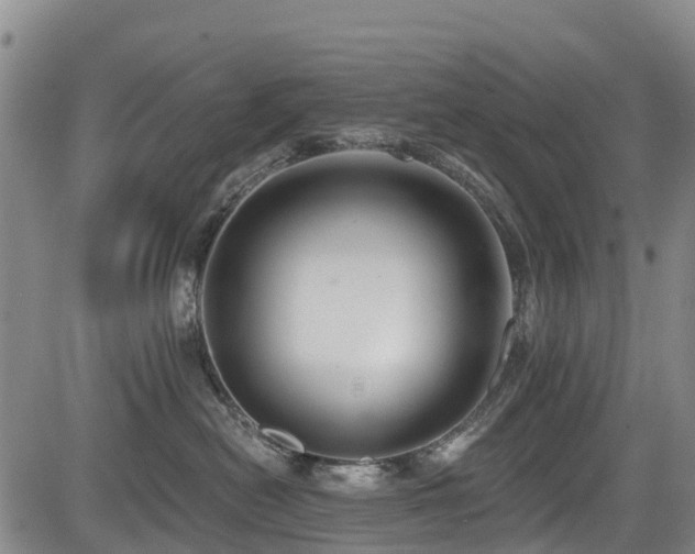 X0000084050478200702161511