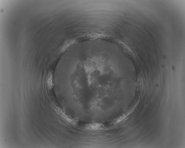 X0000084050479200702161511