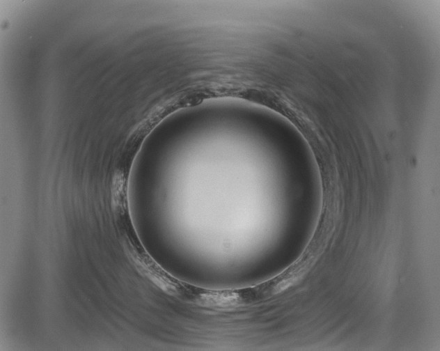 X0000084050480200702161511