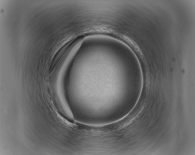 X0000084050481200702161511