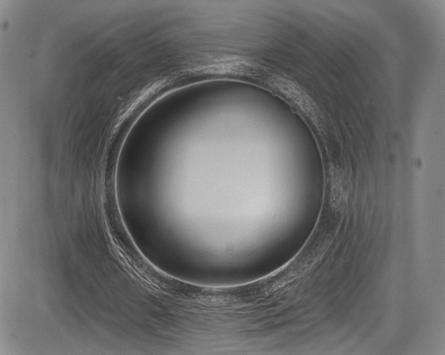 X0000084050482200702161511