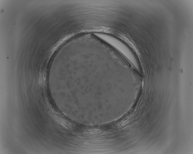 X0000084050483200702161511