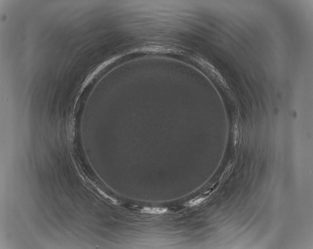 X0000084050484200702161511