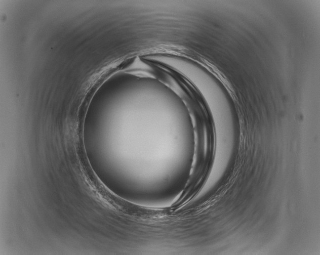 X0000084050485200702161511