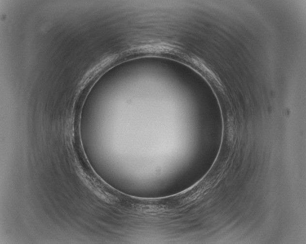 X0000084050486200702161511