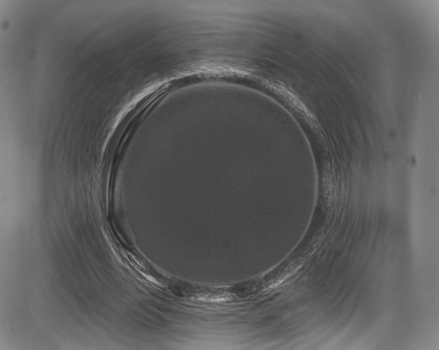 X0000084050488200702161511