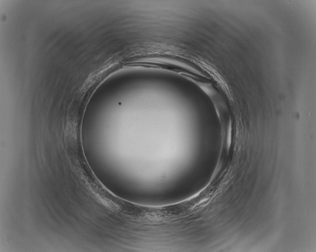 X0000084050489200702161510