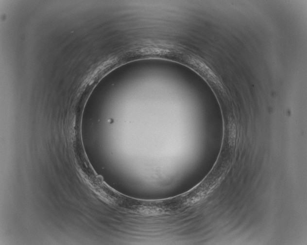 X0000084050490200702161510