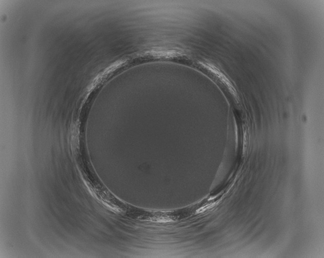 X0000084050492200702161510