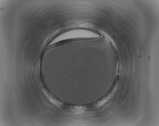 X0000084050493200702161510