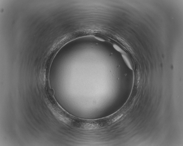 X0000084050494200702161510