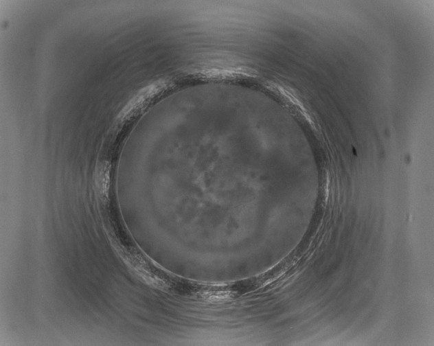 X0000084050495200702161510