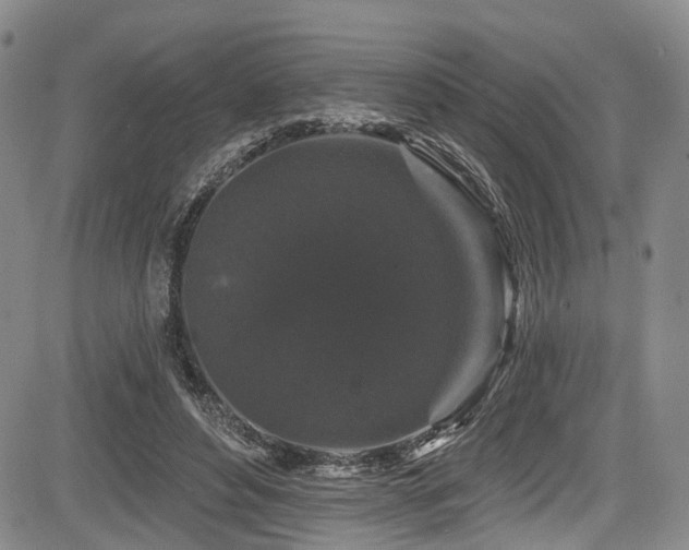 X0000084050496200702161510