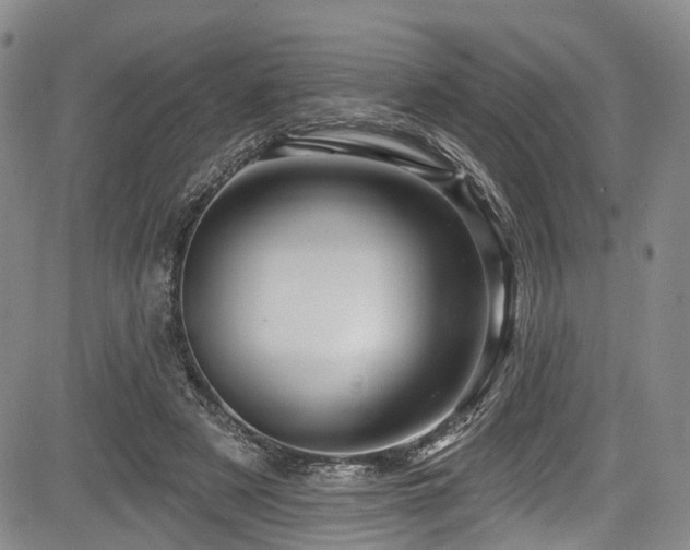 X0000084050497200702161510