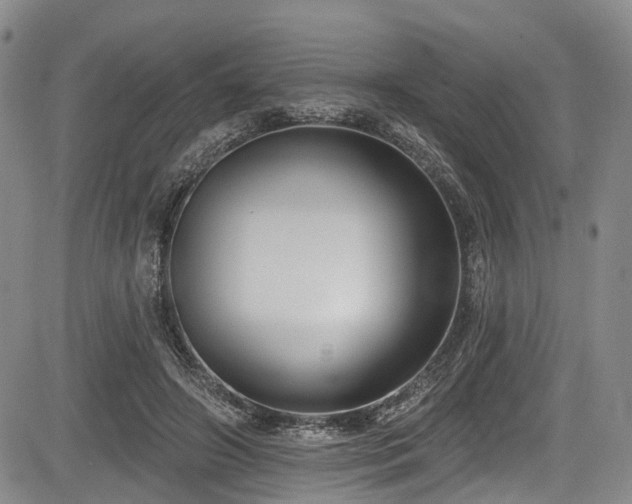 X0000084050498200702161510