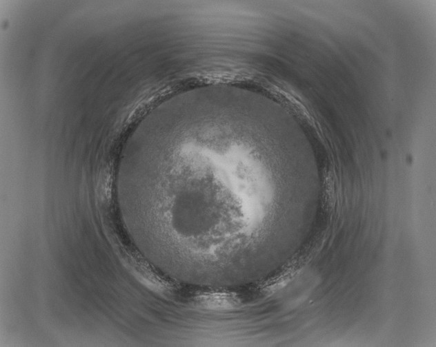 X0000084050499200702161510